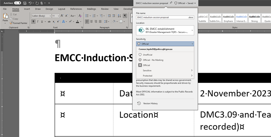 Screenshot of a MS Word interface